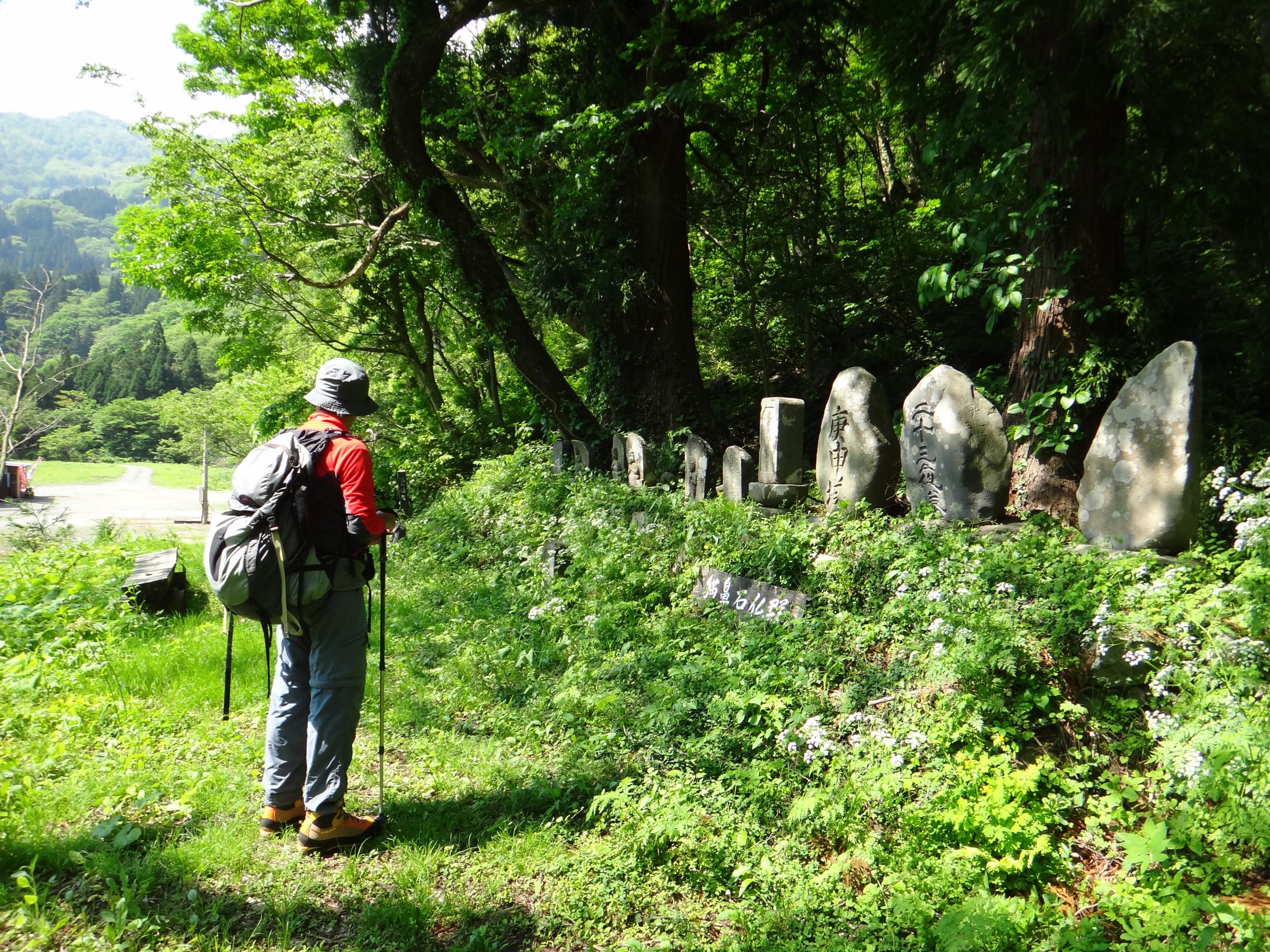 Nekohana Sekibutsu-gun